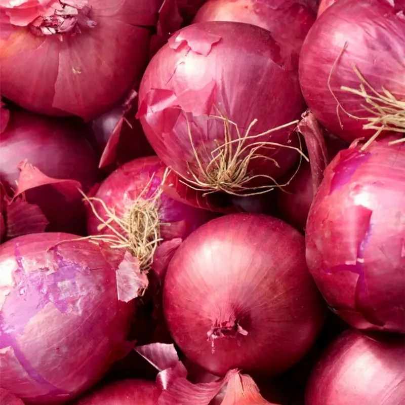 Pata de cebolla
