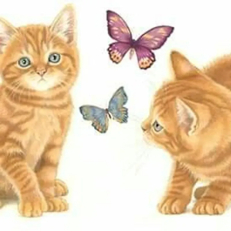 Animales