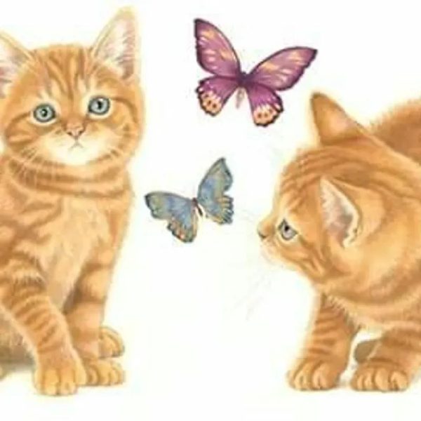 Animales