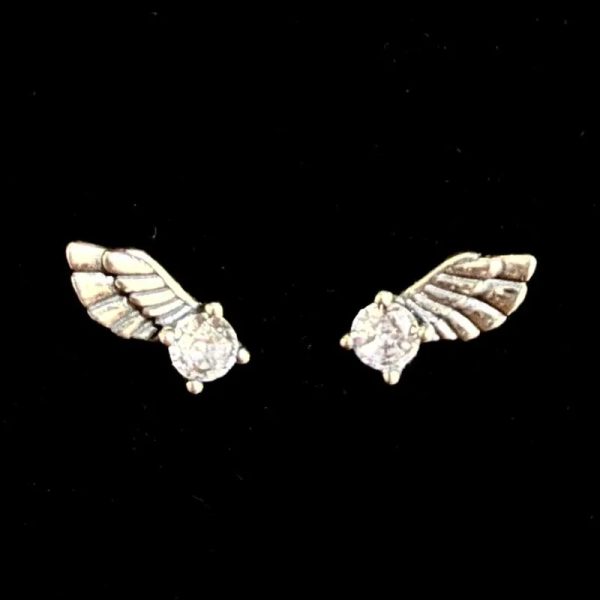 Aretes de alas