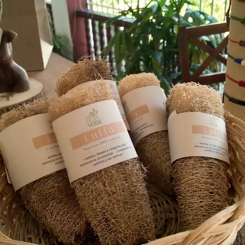 Esponja vegetal de Luffa