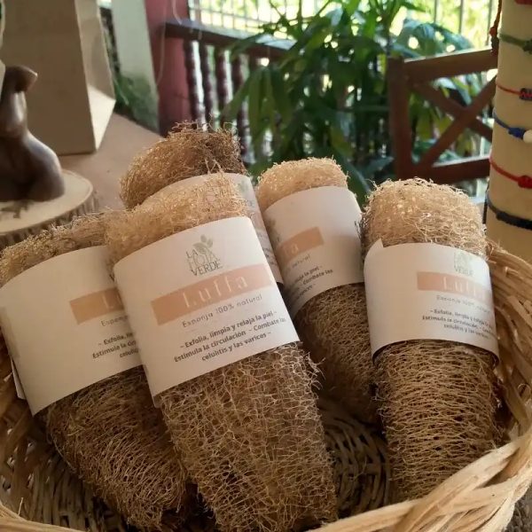 Esponja vegetal de Luffa