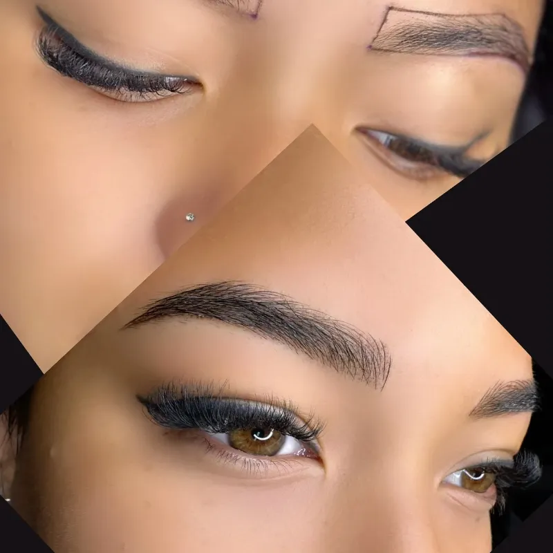 LATIN BROWS_PHI ACADEMY