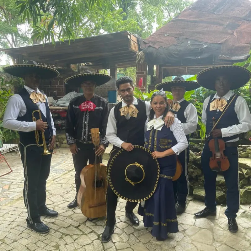 Mariachis