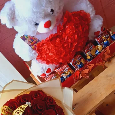 GIGANTES CON PELUCHES