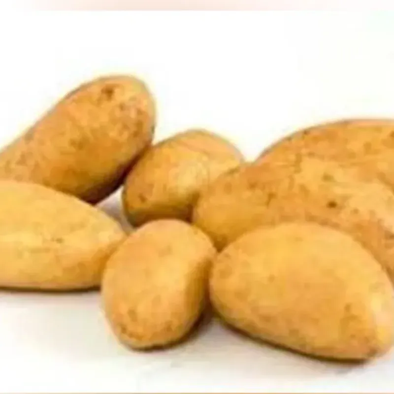 Papas
