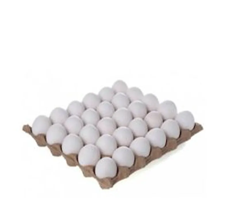 Carton de Huevos
