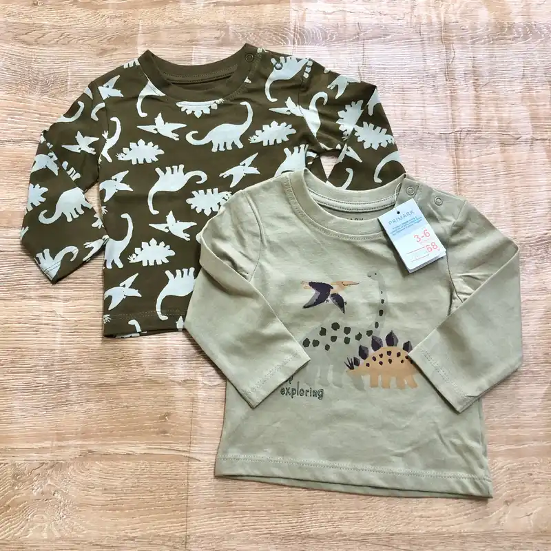 Pack de 2 enguatadas con dinosaurios