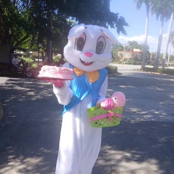Bunny