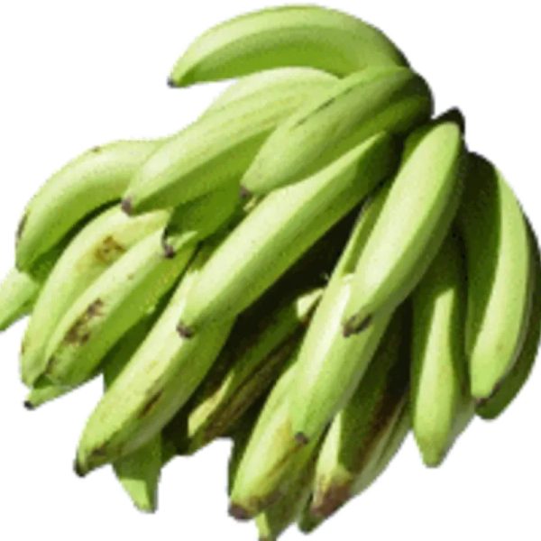 Plátano macho.