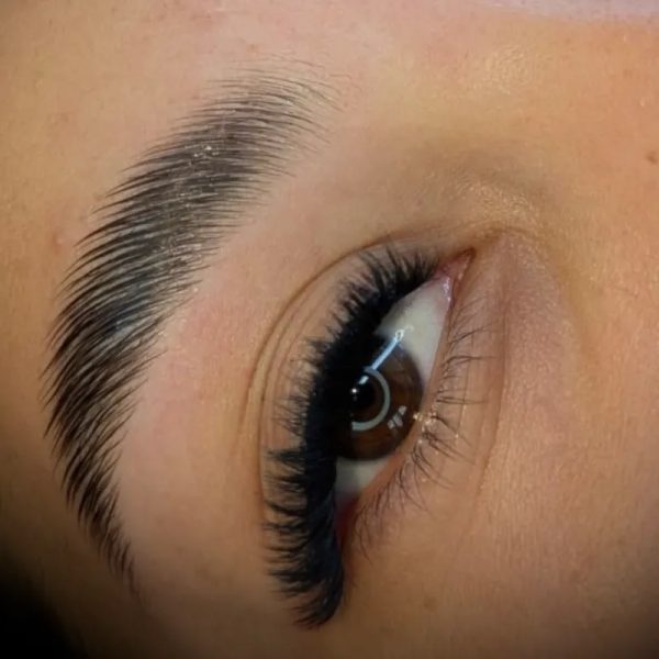 Laminado de Cejas