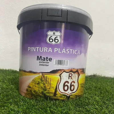 Pintura plástica mate R66