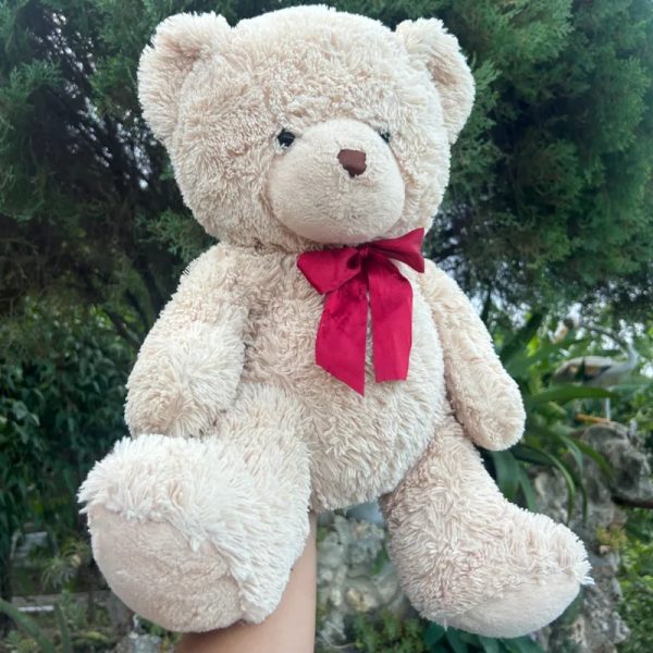 Peluche oso❤️