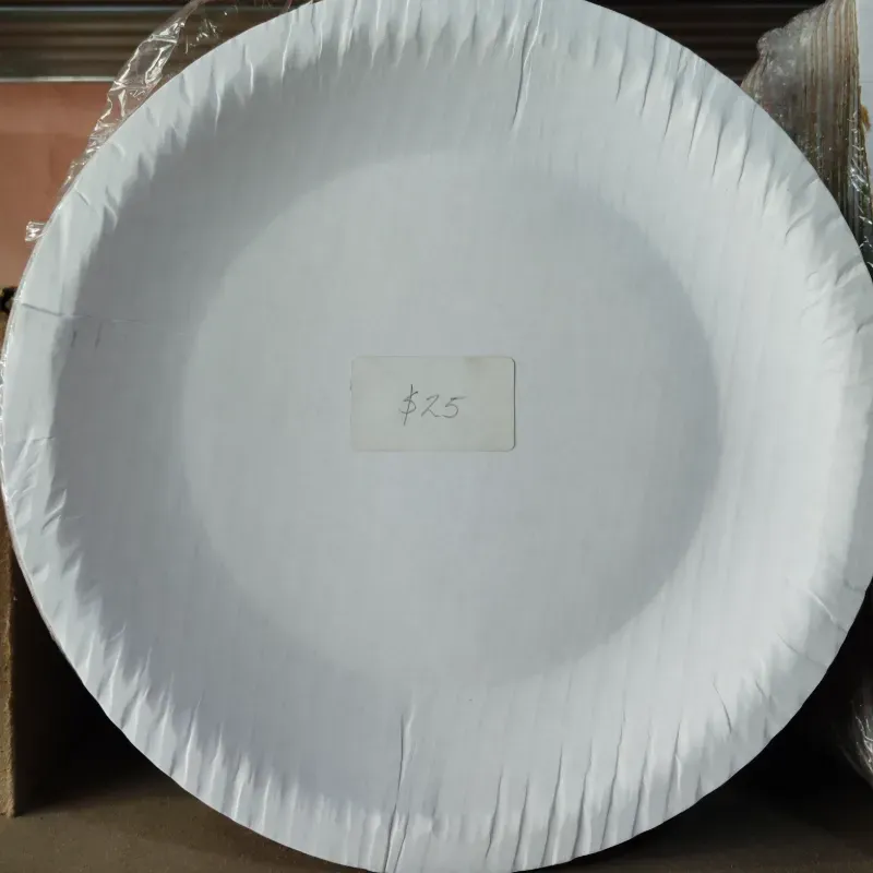 Plato Cartón 20 cm (C-B/A1263)