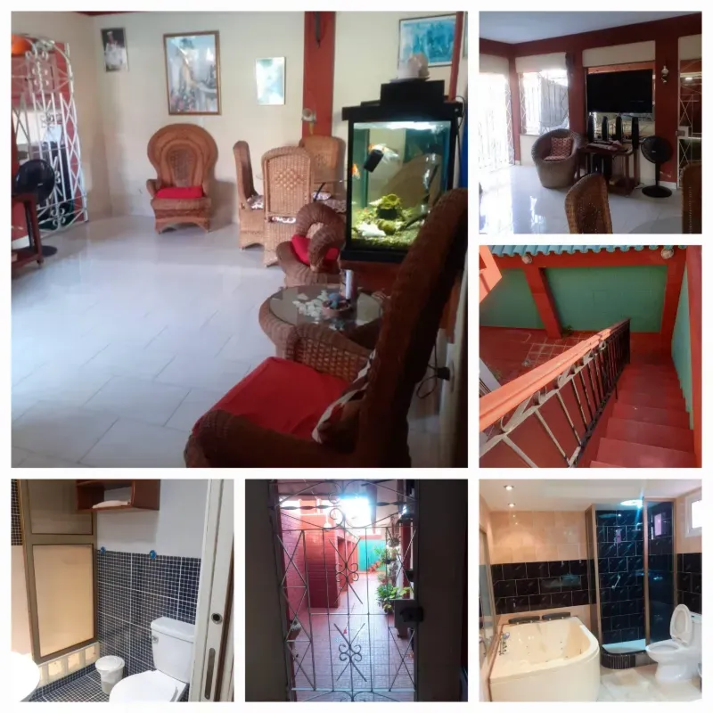 Biplanta en el bahia