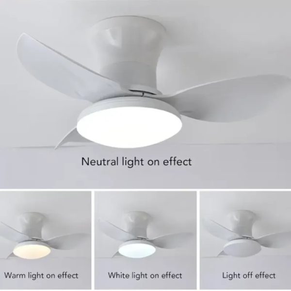 Ventilador de techo de 25" VEN-004