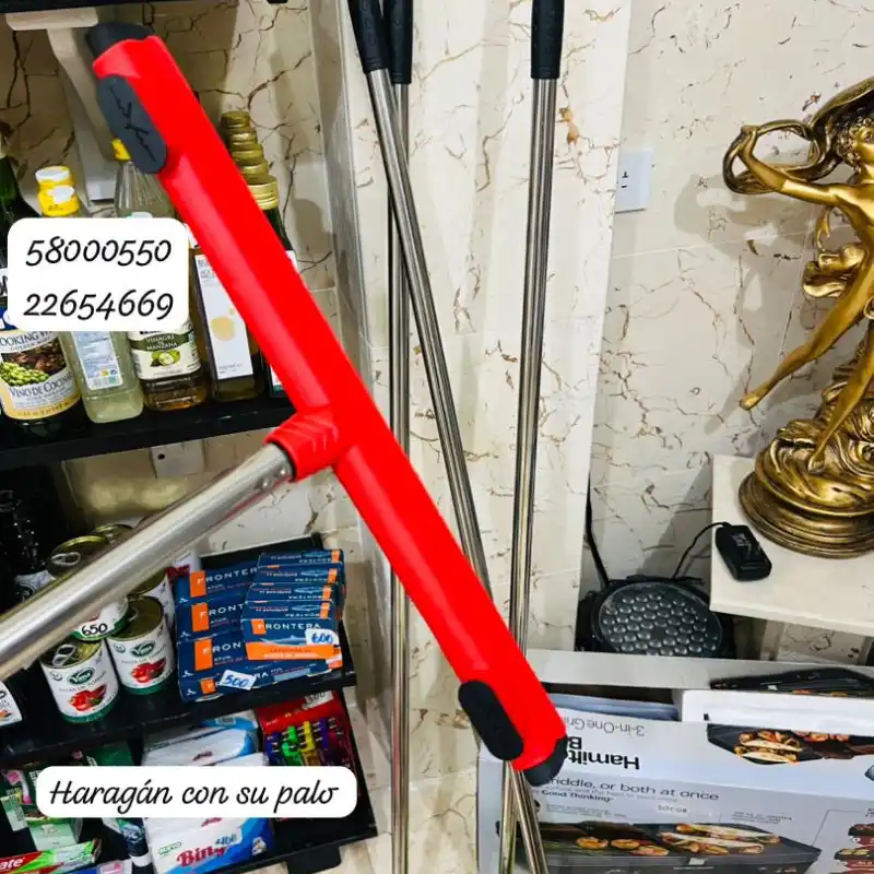 Haragán con su palo