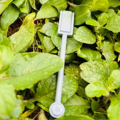 Imán para ojo de gato