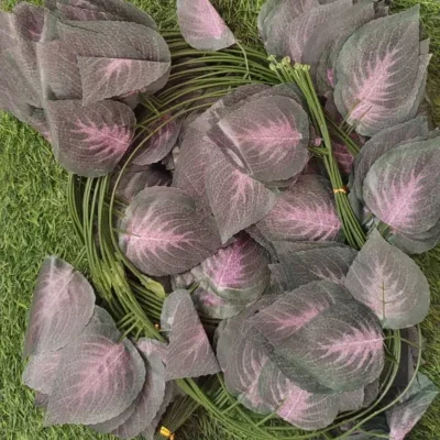 Tira de hojas 2, 3 metros