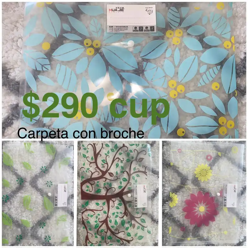 Carpetas con broche