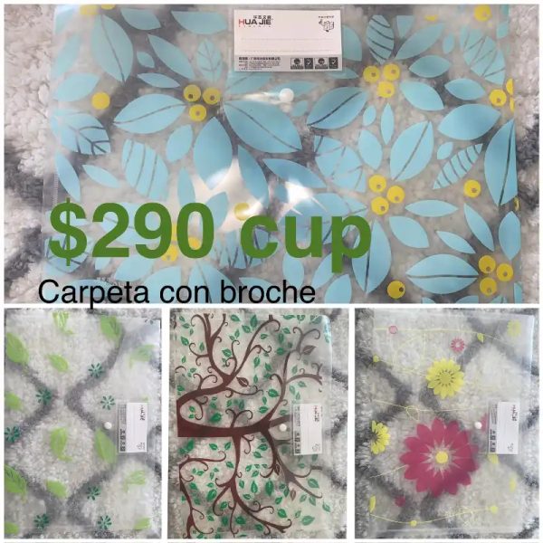 Carpetas con broche