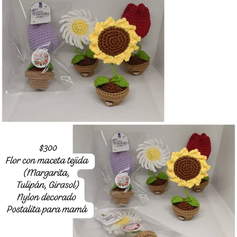 Flores tejidas con maceta 