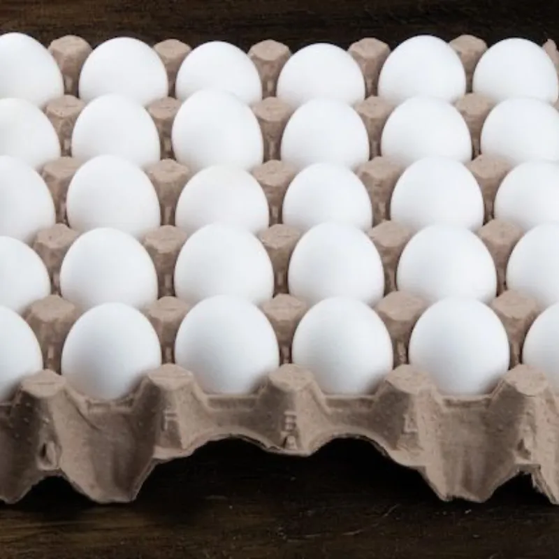 Cartón de Huevo