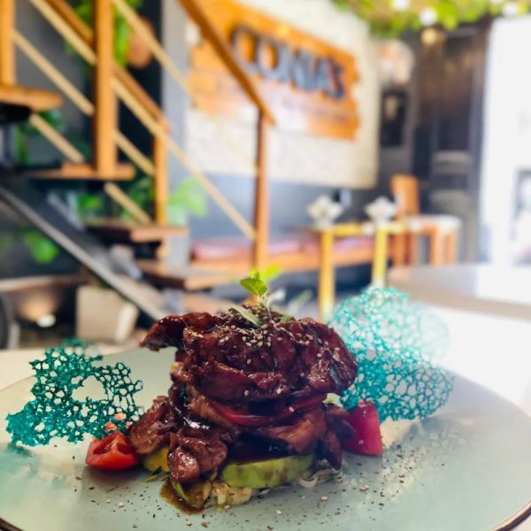 Cerdo Teriyaki