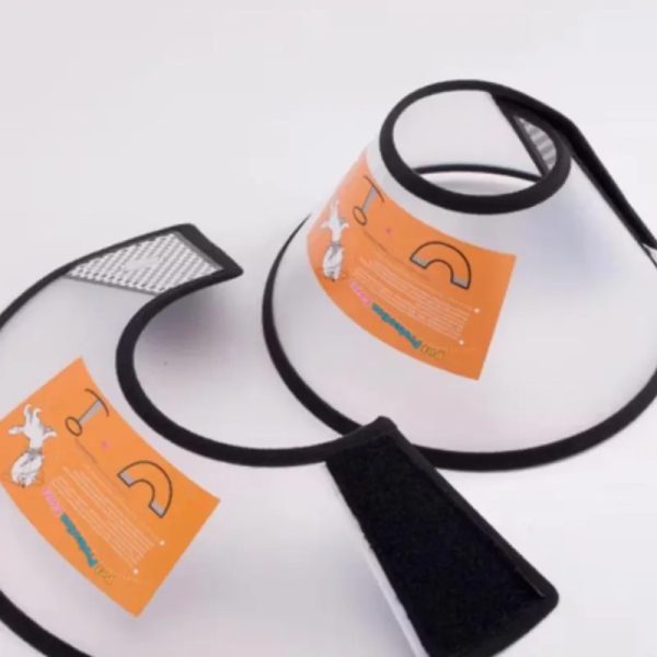 Collares Isabelinos