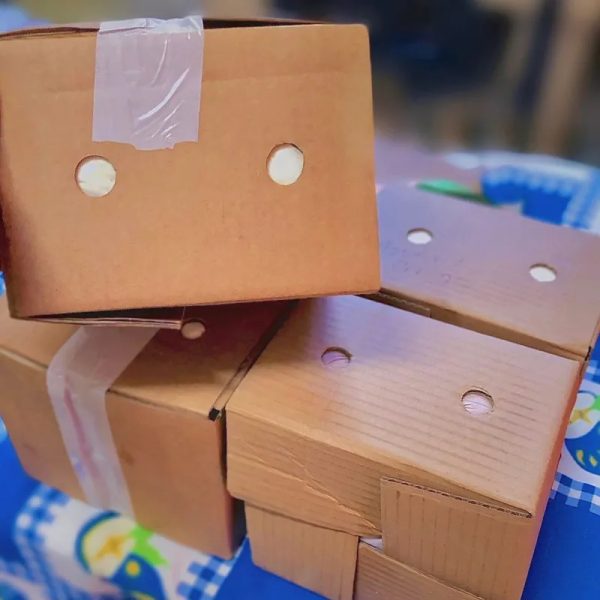 Caja de helado 4lt