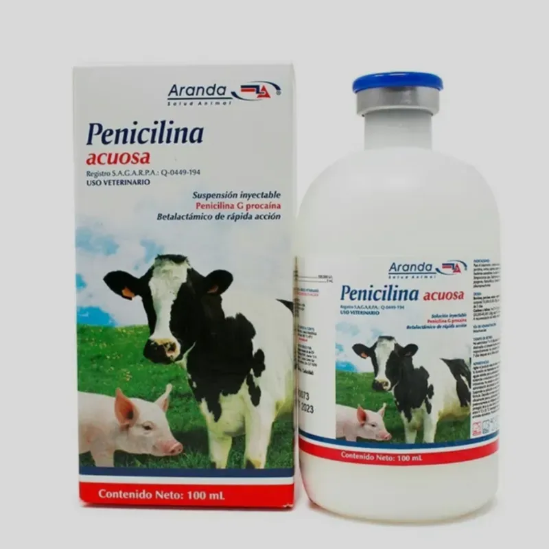 Penicilina Acuosa de 100 ML