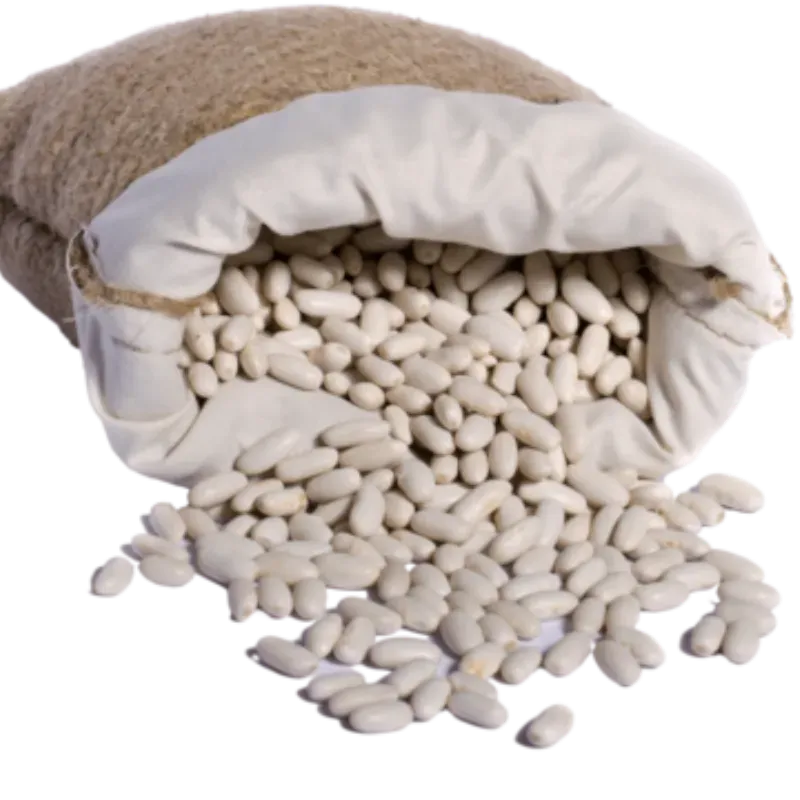 Frijol Blanco