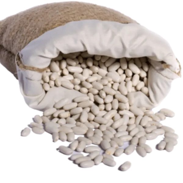 Frijol Blanco
