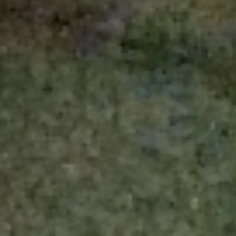 Pasadia en Caleta Buena