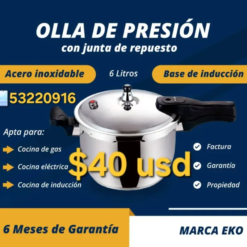Olla de Presión 6L