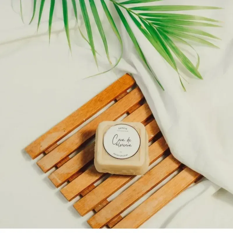 Cera Hidratante de Aloe Vera 50g (Sanem)