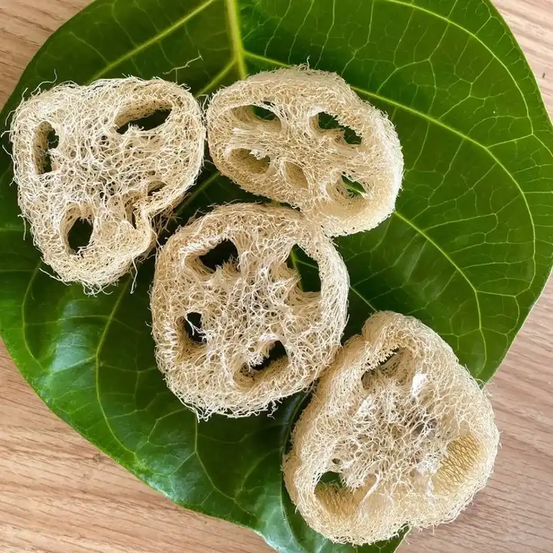 Esponja de luffa 