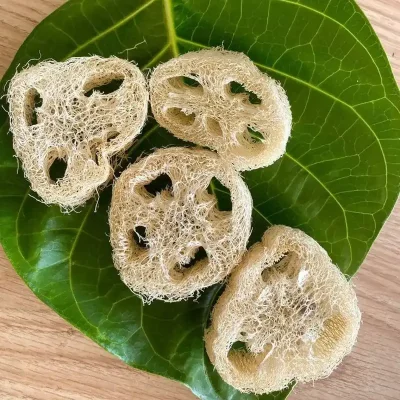 Esponja de luffa 