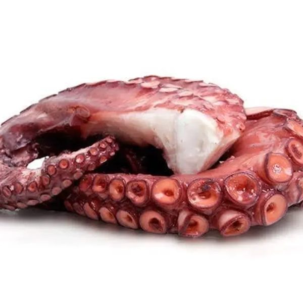 Pulpo