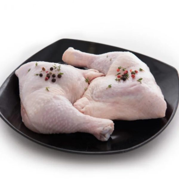 POLLO