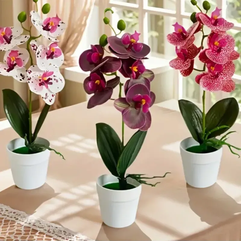 HERMOSAS ORQUIDEAS EN MACETAS