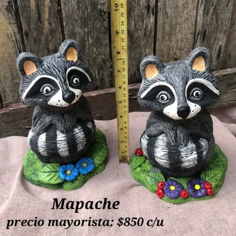 Mapache