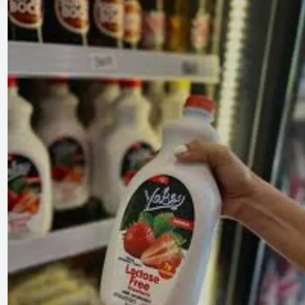 Yogurt natural