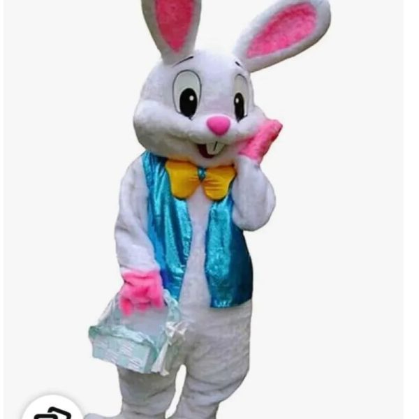 Disfraz conejo