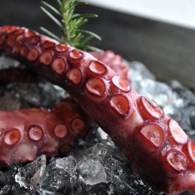 Pulpo