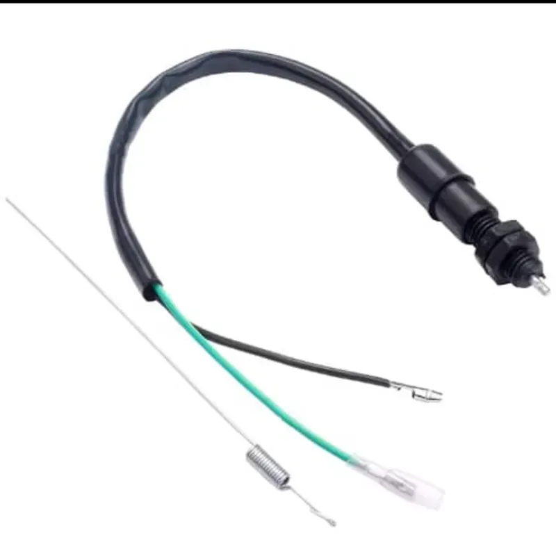 Pulmon de freno triciclo