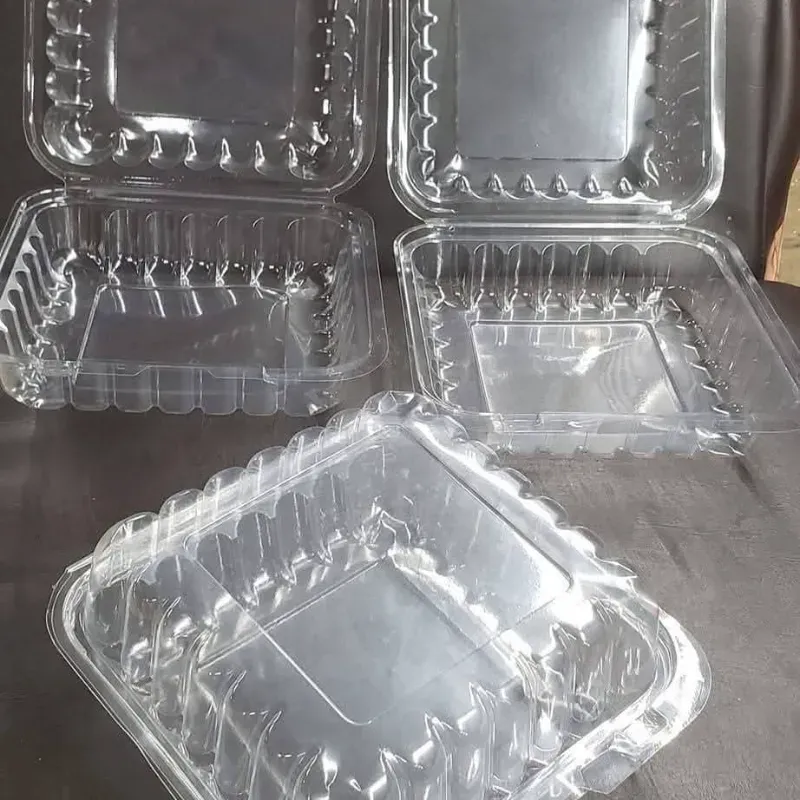 TERMOPACK 8X8 TRAPARENTE