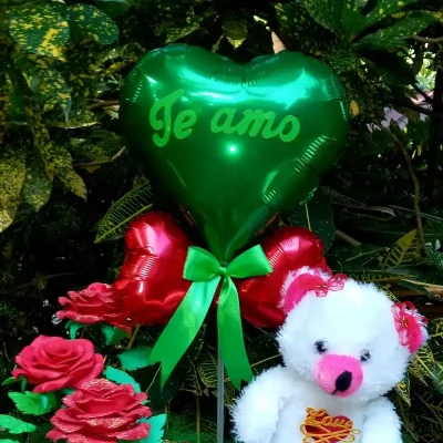 Jardin florecido para mi amada