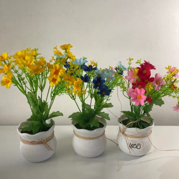 Macetas con flores