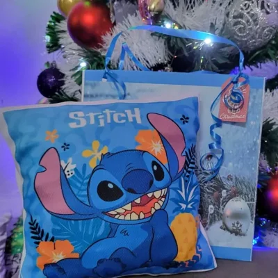 Cojín + bolsa de regalo